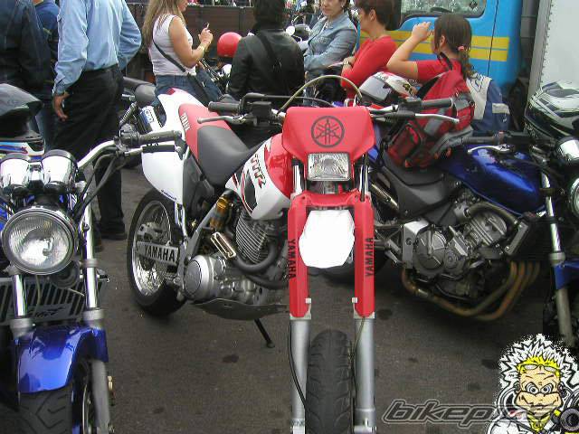 Bike Photo 378675