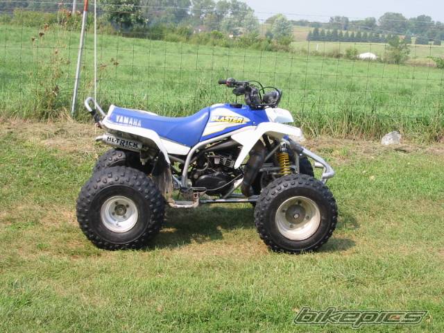Photo 37875