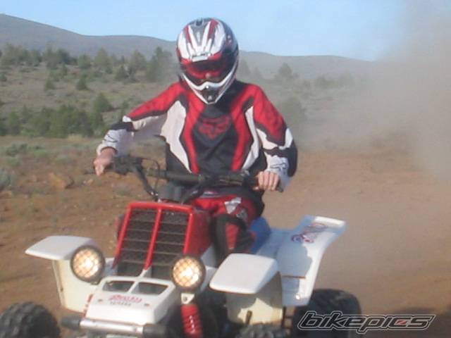 Photo 378773
