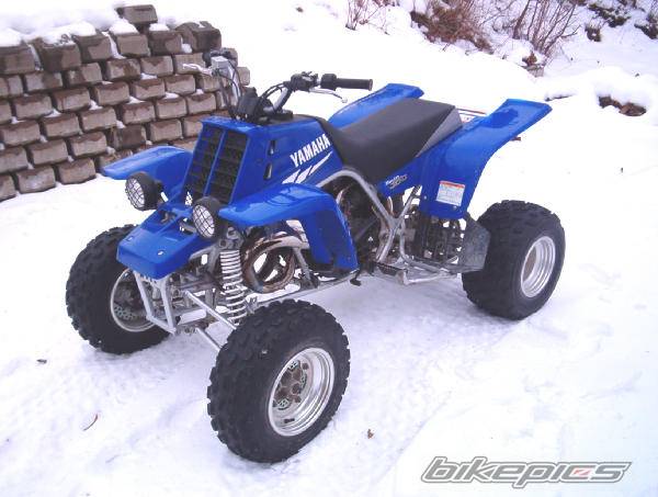 Photo 378861