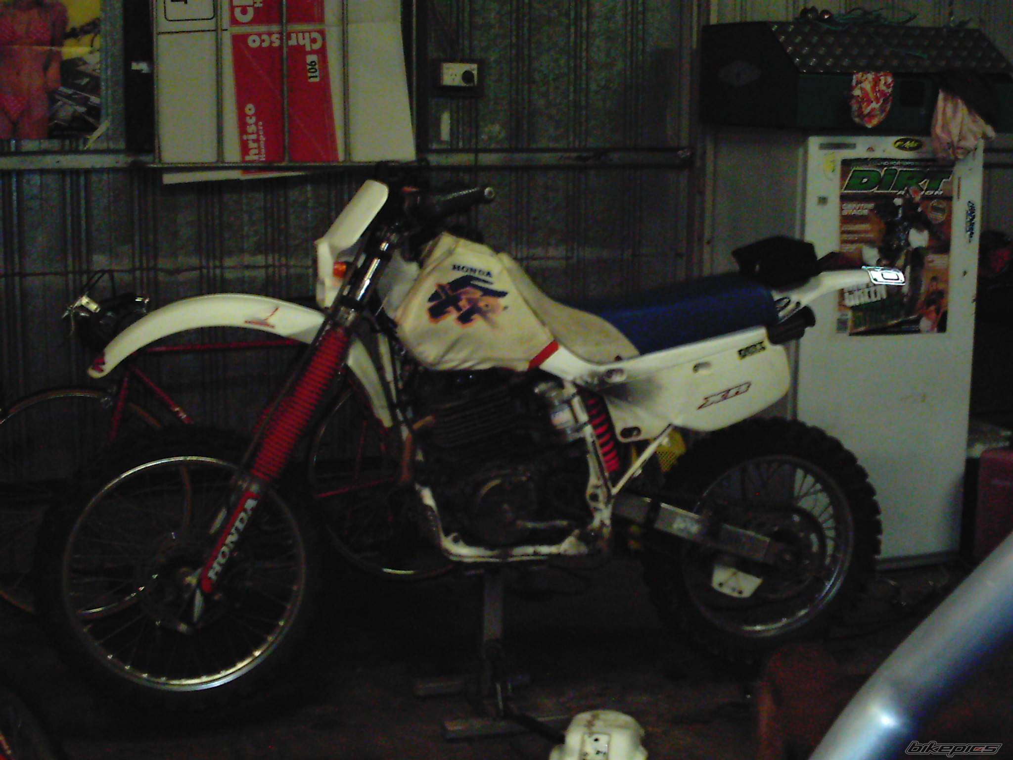 Photo 378978