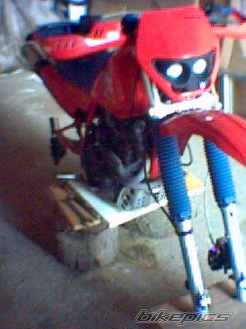 Bike Photo 378989