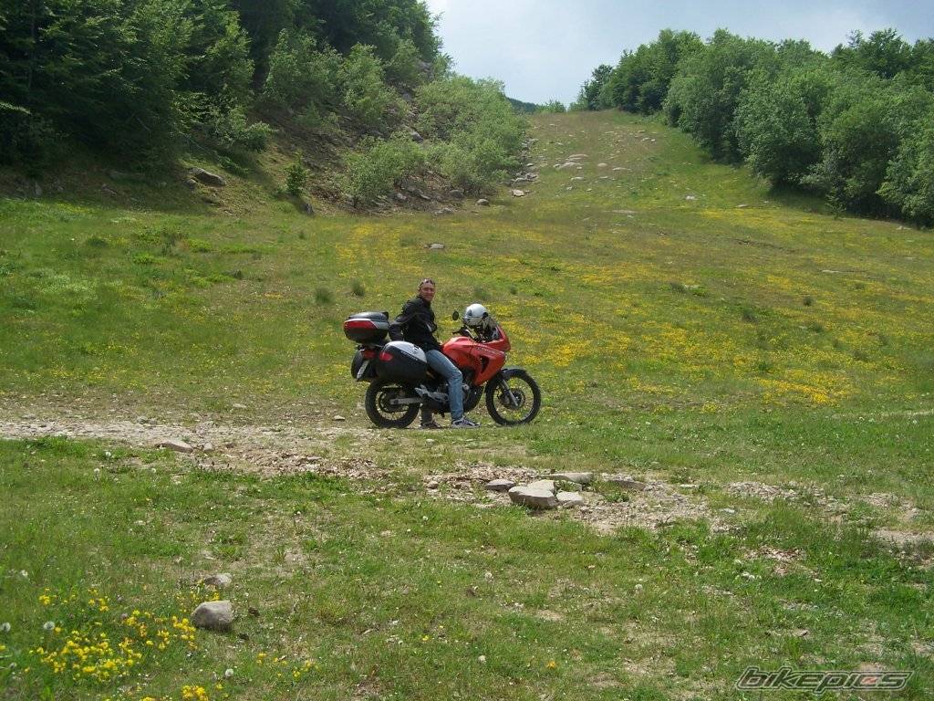 Photo 379274