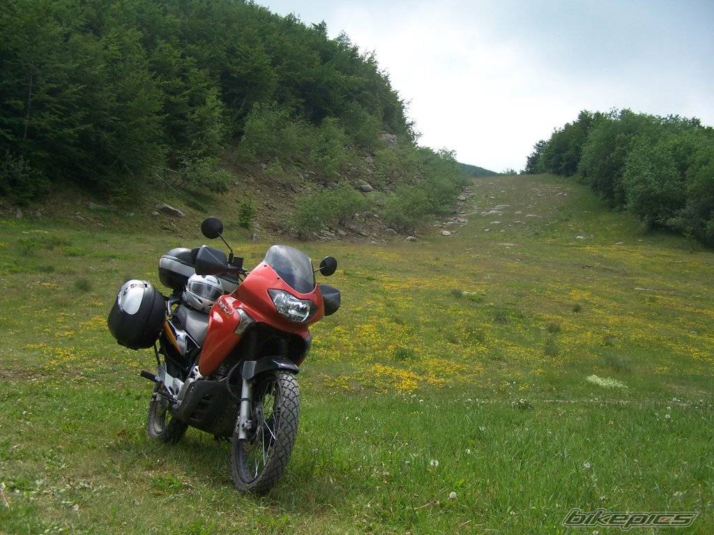 Photo 379275