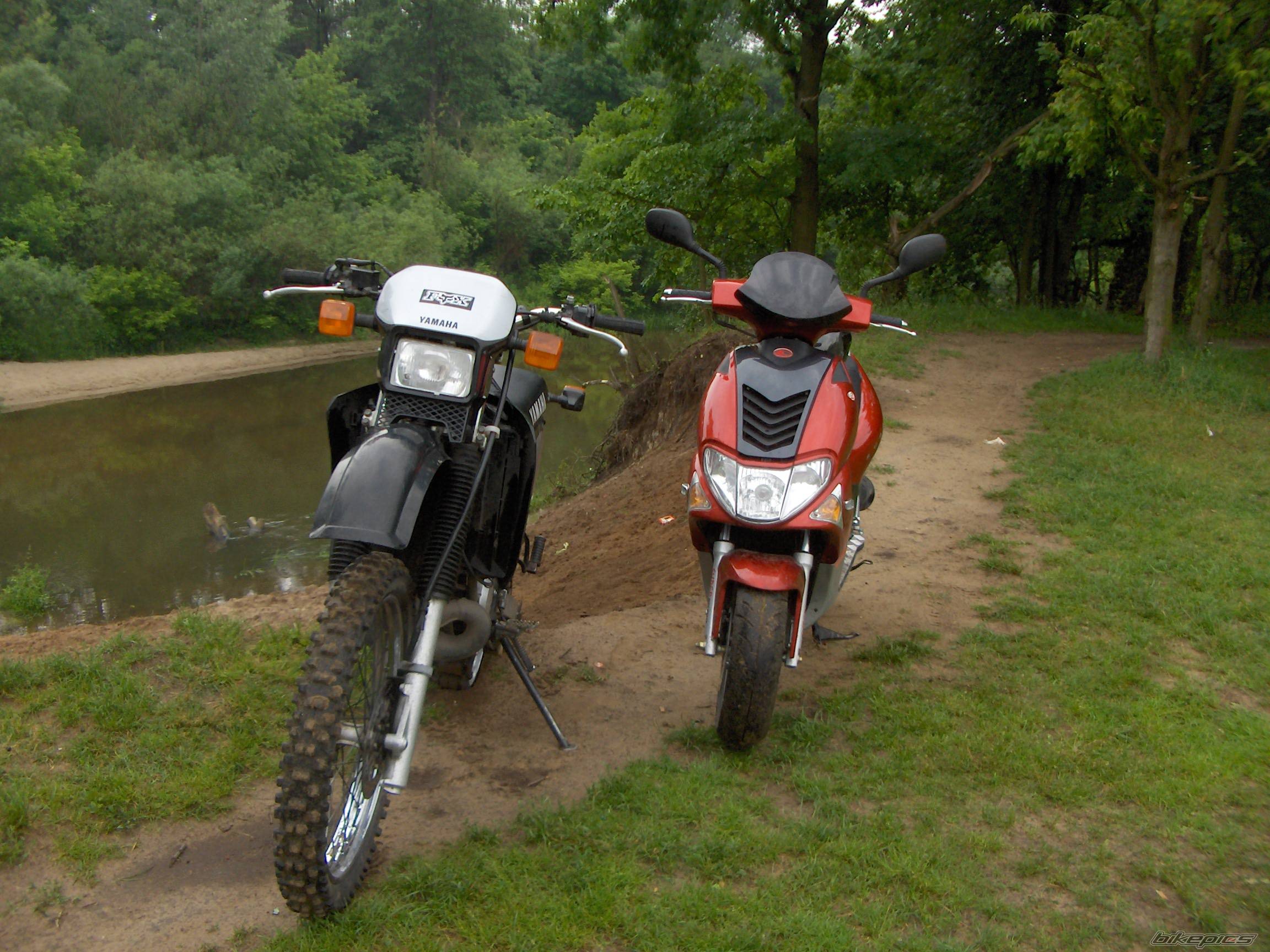 Photo 379349