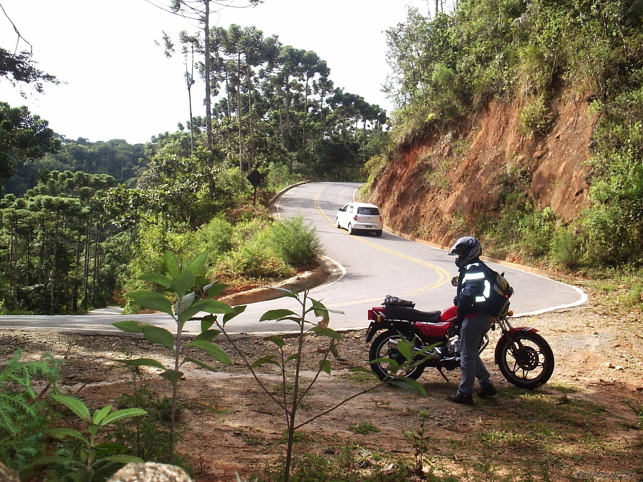 Bike Photo 379354