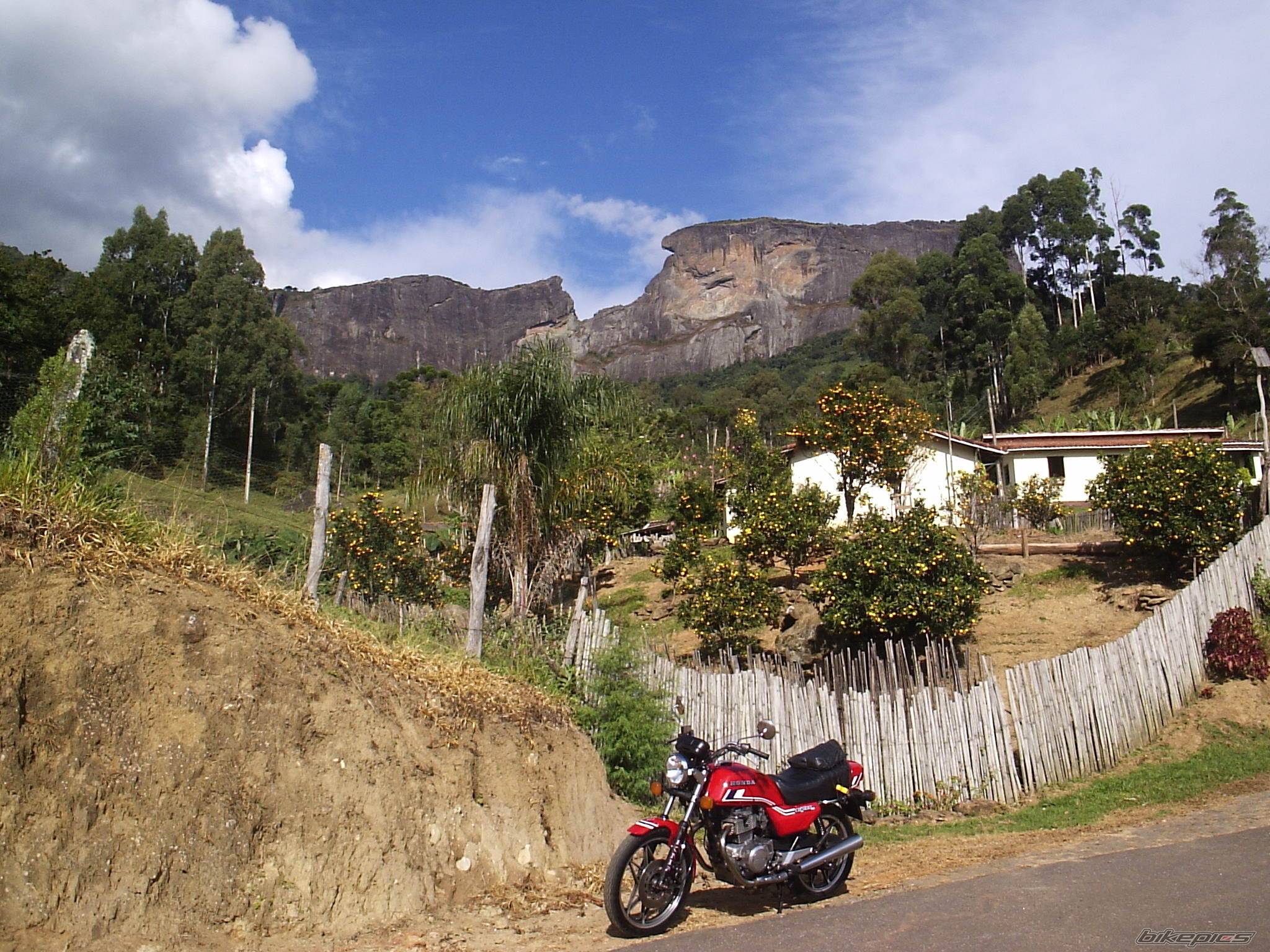 Bike Photo 379356