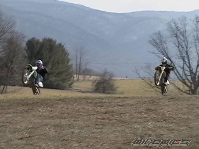 Photo 379411