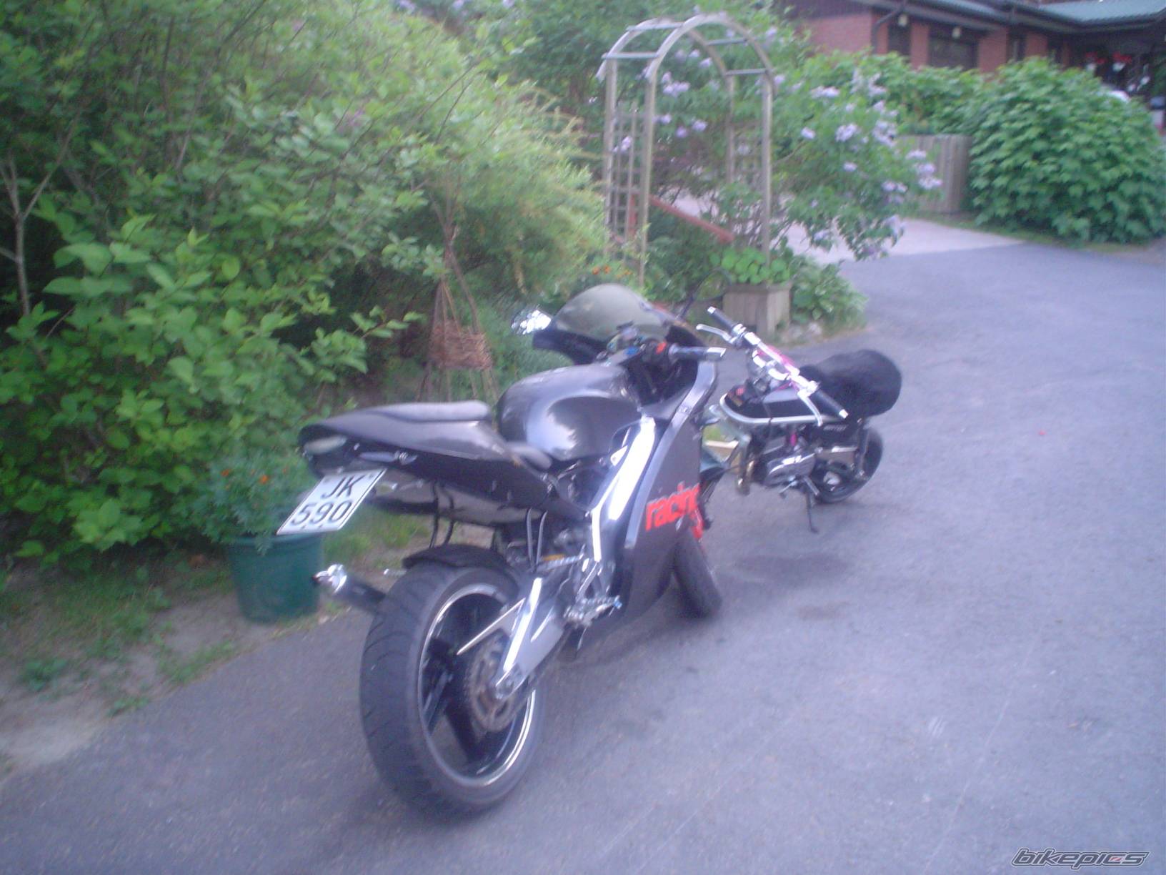Photo 379430