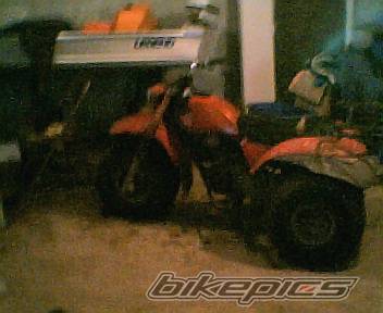 Photo 379438