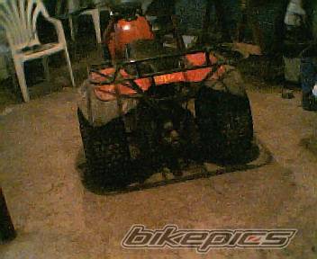 Photo 379439