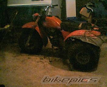 Photo 379440