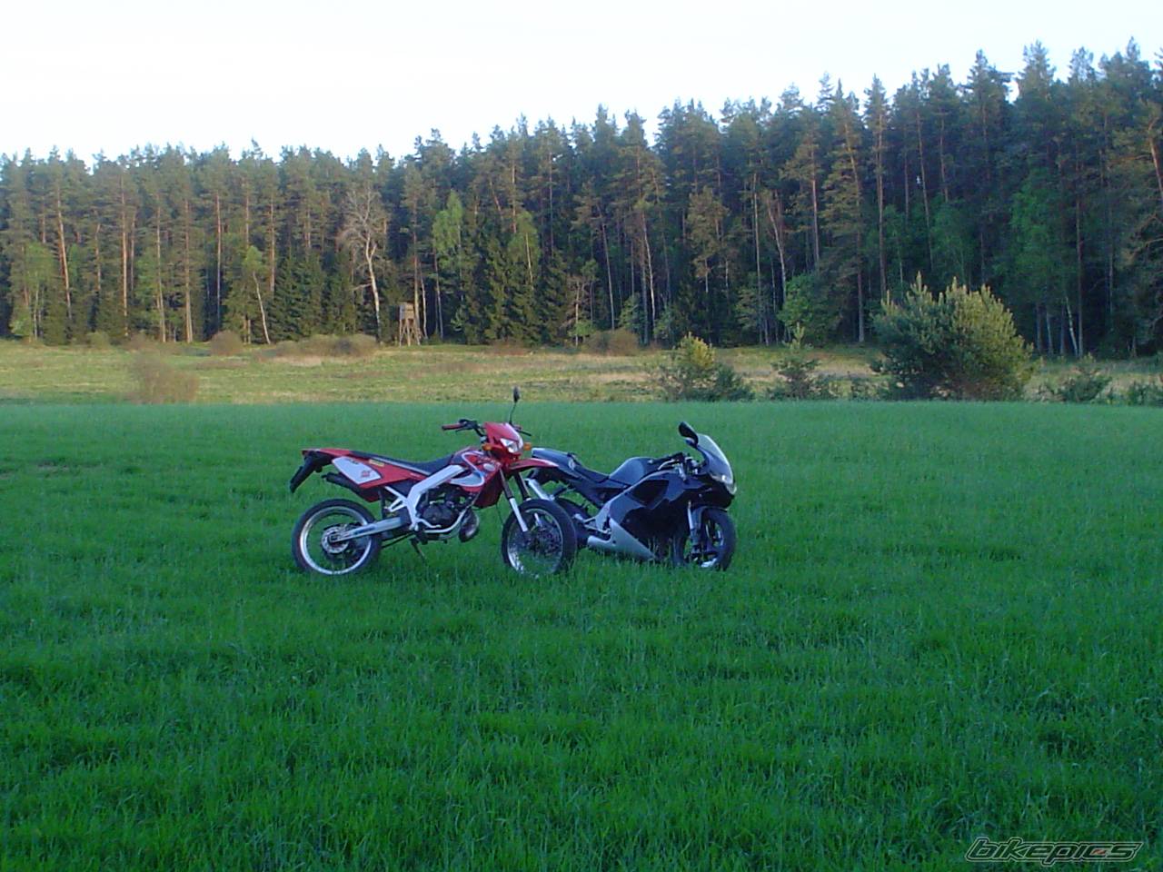 Bike Photo 379500