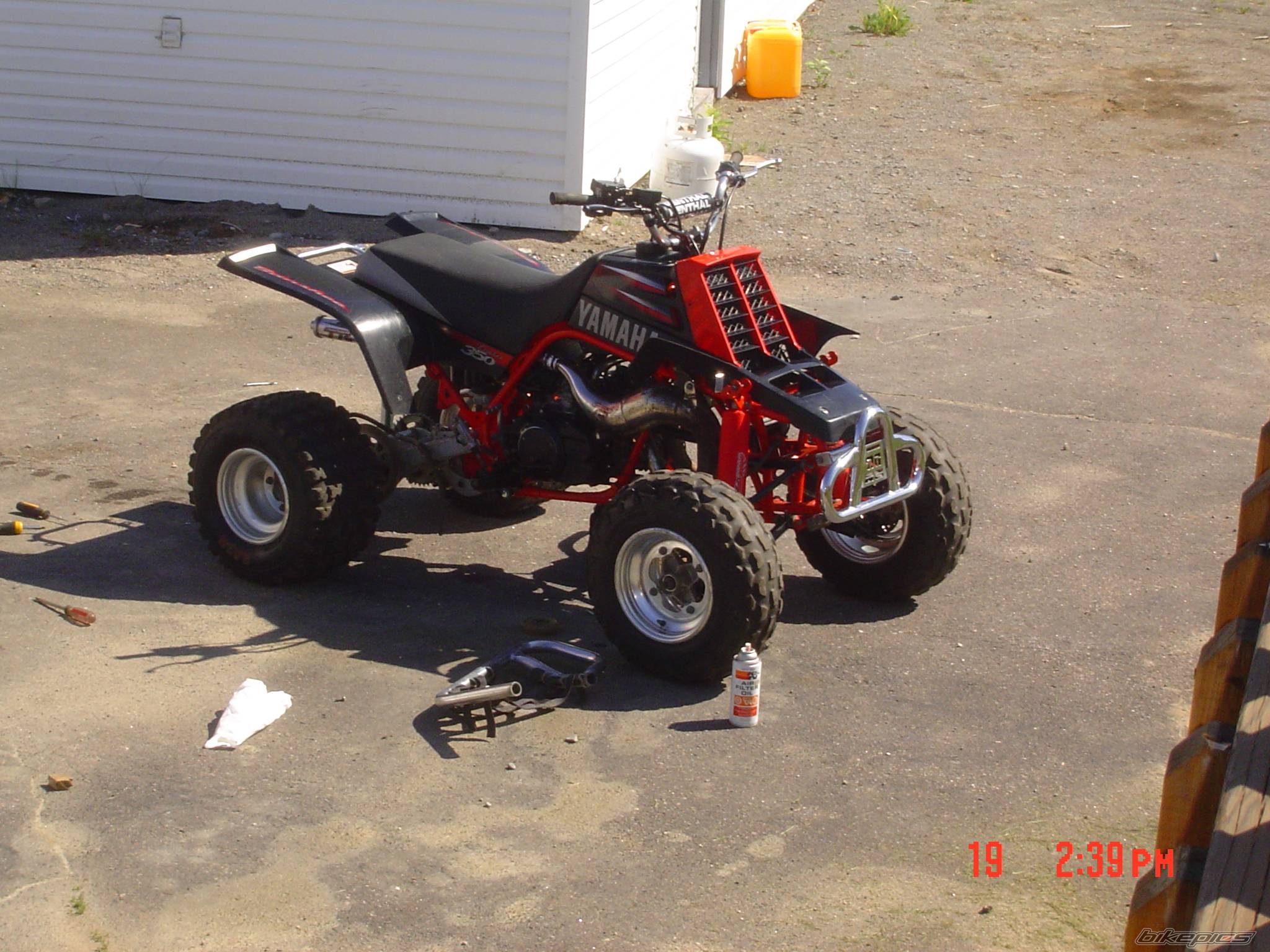 Photo 379575