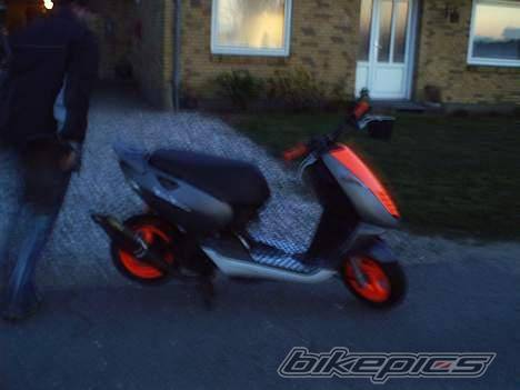 Photo 379594
