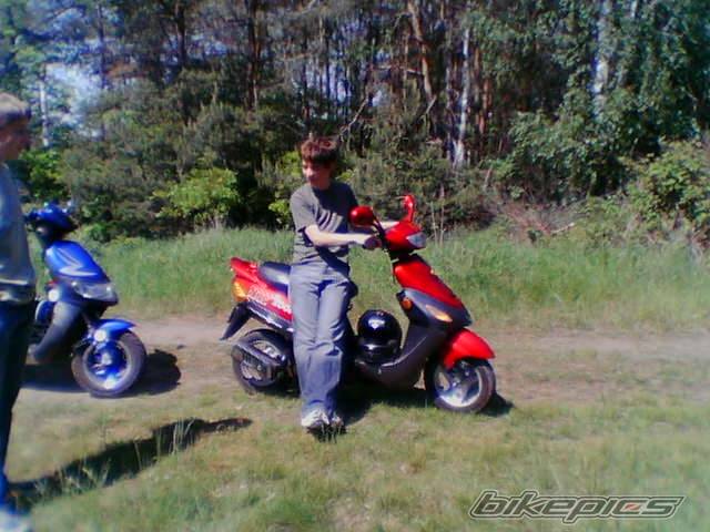Photo 379645