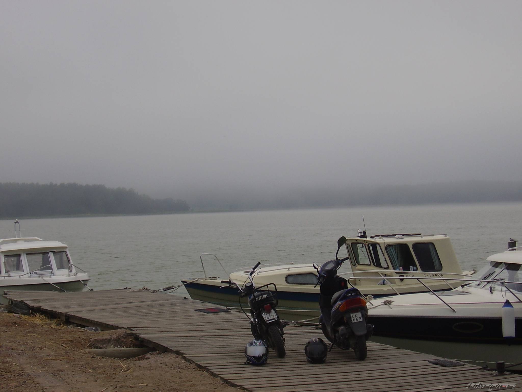 Photo 379714
