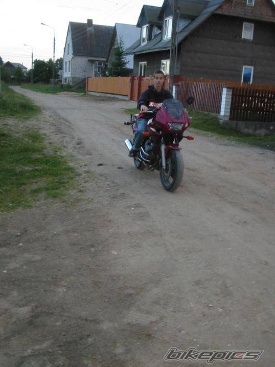 Photo 379737