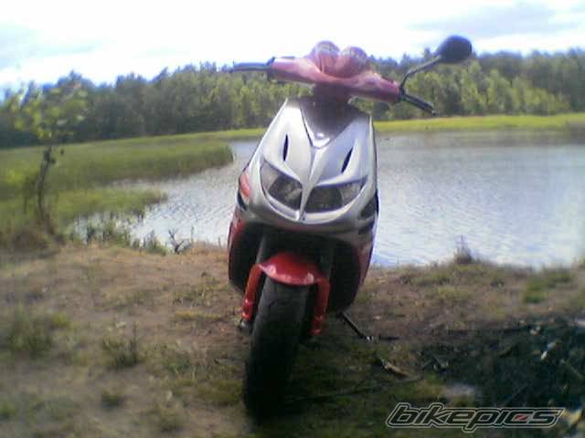 Photo 379748