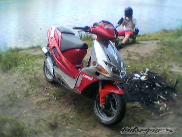 Photo 379749