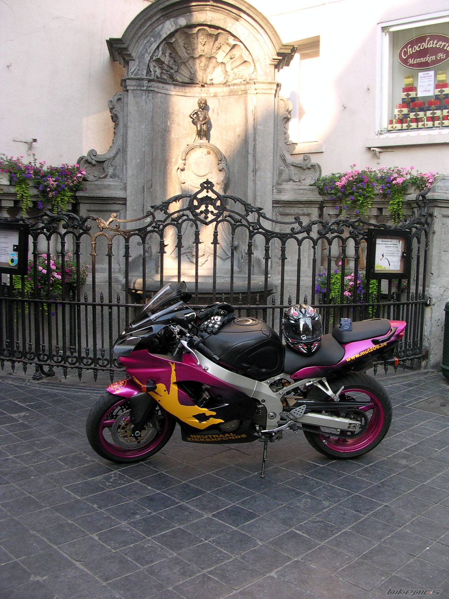 Photo 379761