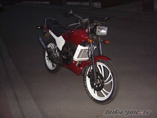Photo 379767