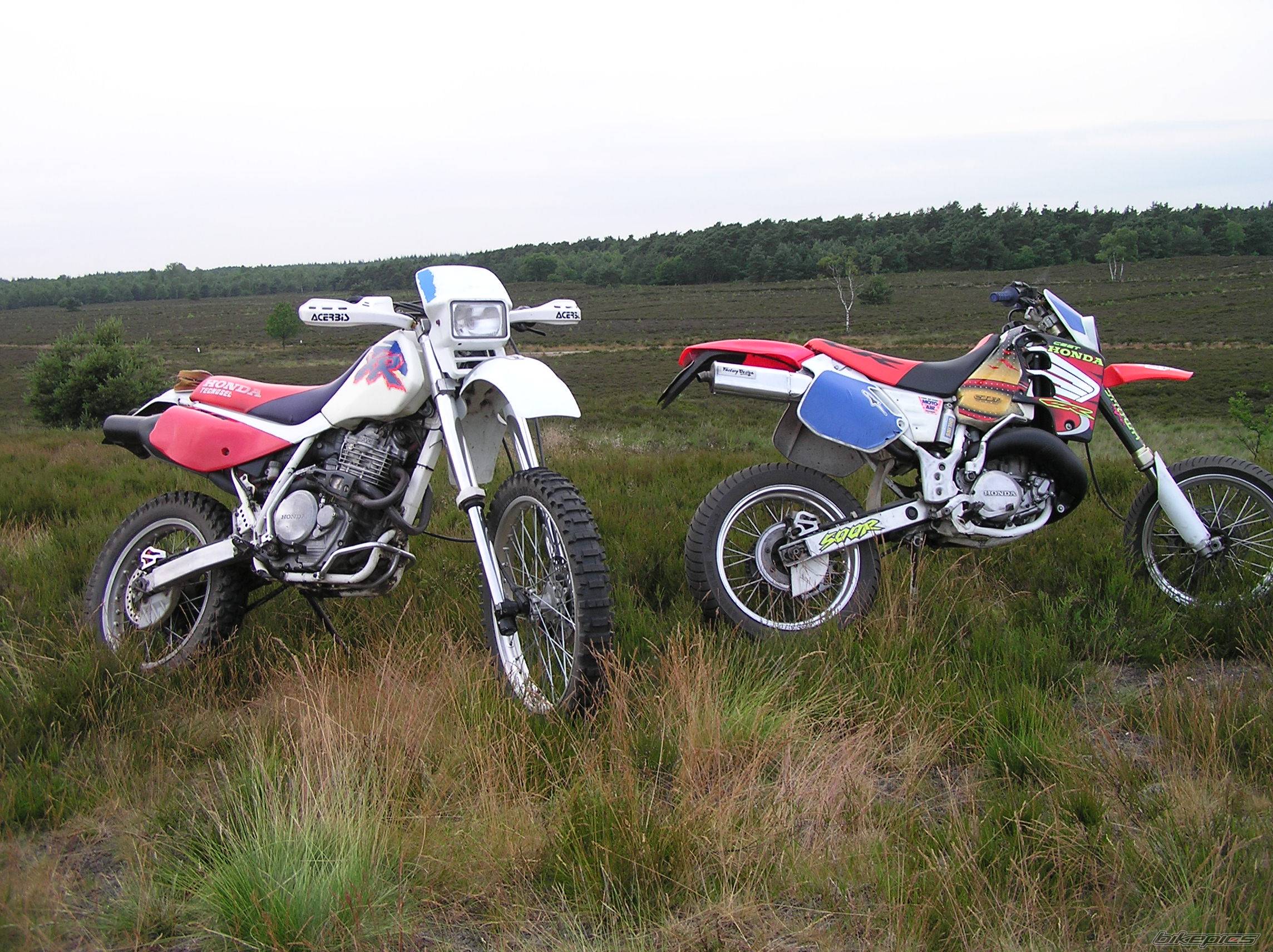Bike Photo 379771