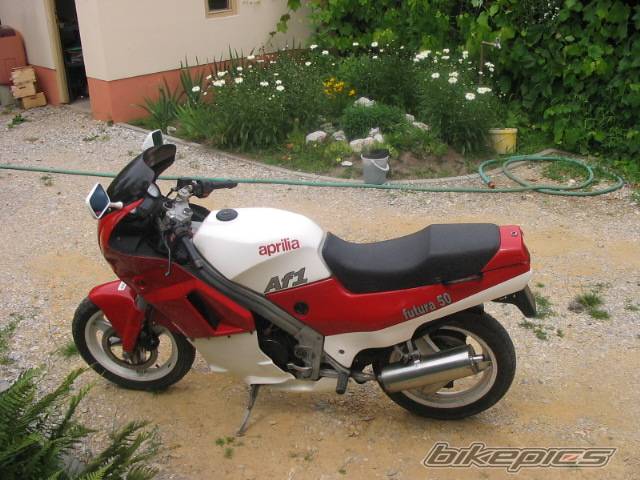 Photo 379799