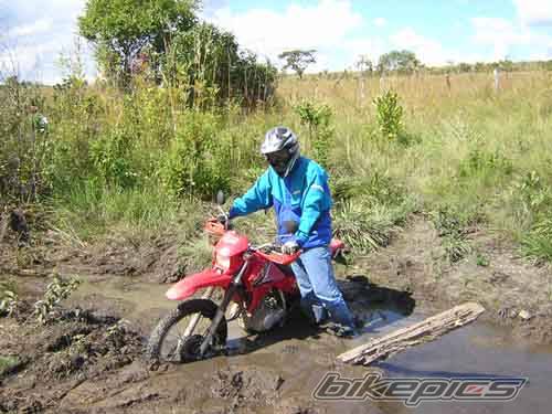 Photo 379876