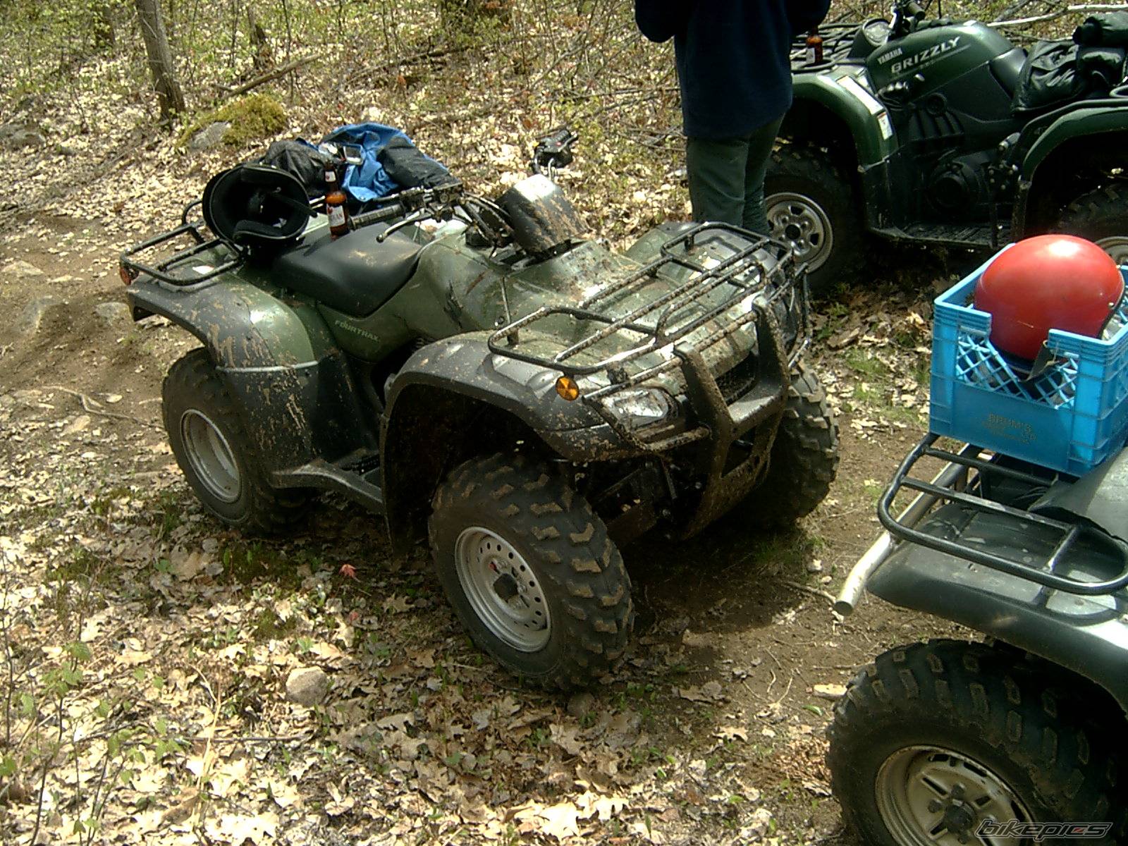 Photo 379915