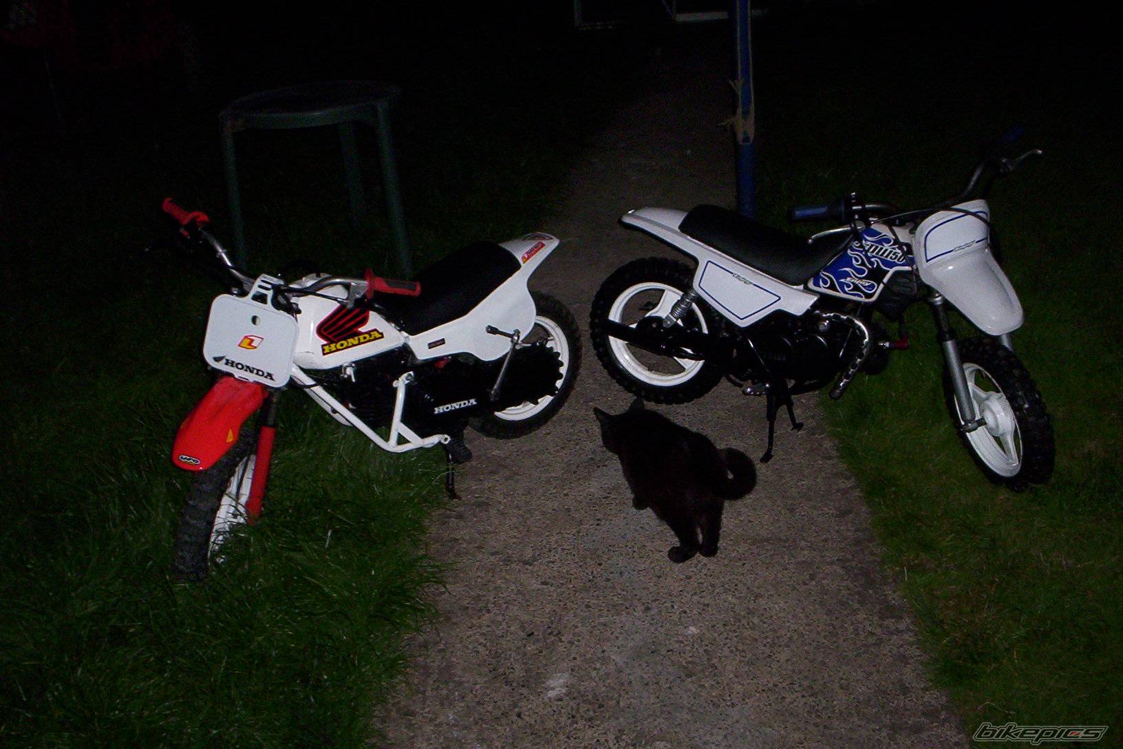 Photo 379944