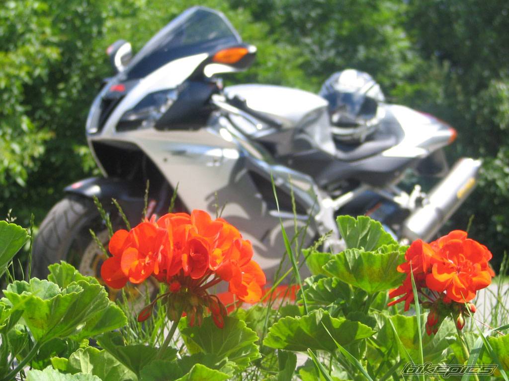 Bike Photo 380044