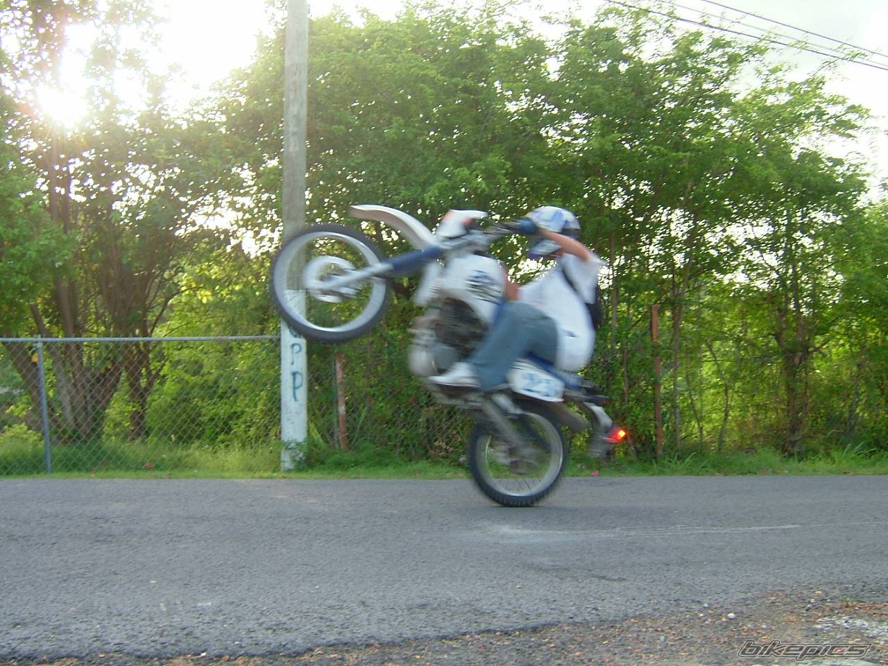 Photo 380157