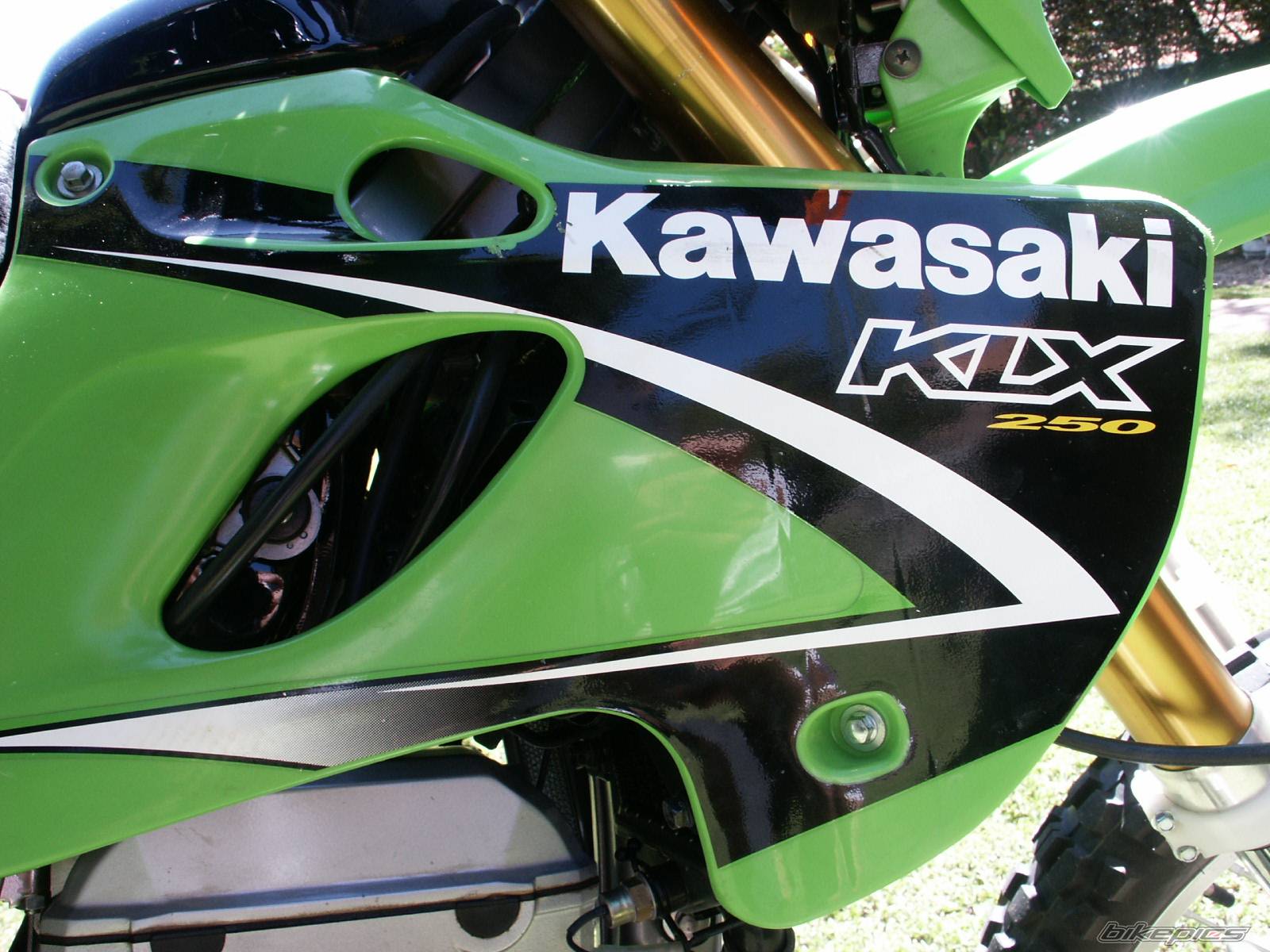 Bike Photo 380286