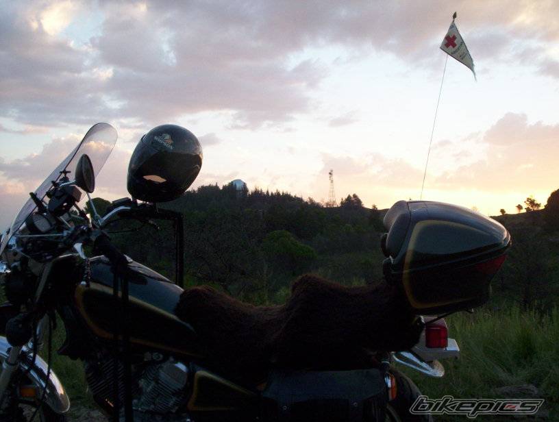 Photo 380298