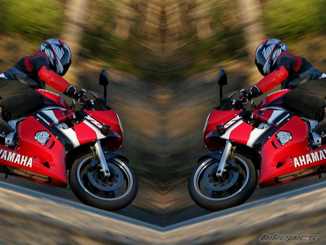 Bike Photo 380541