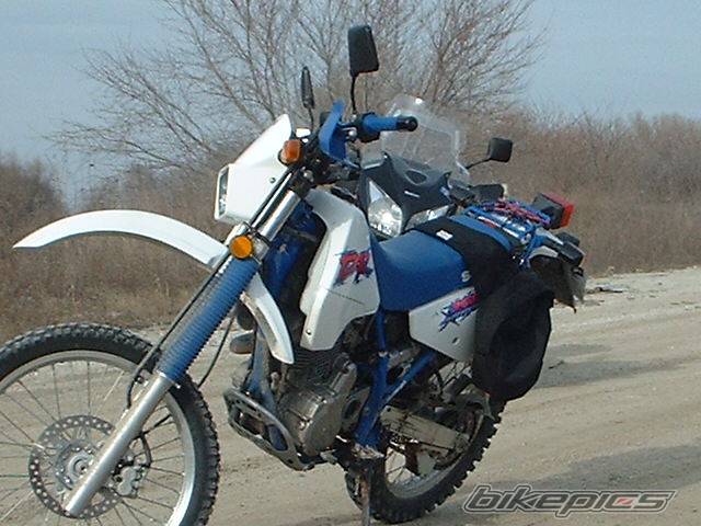 Photo 380747