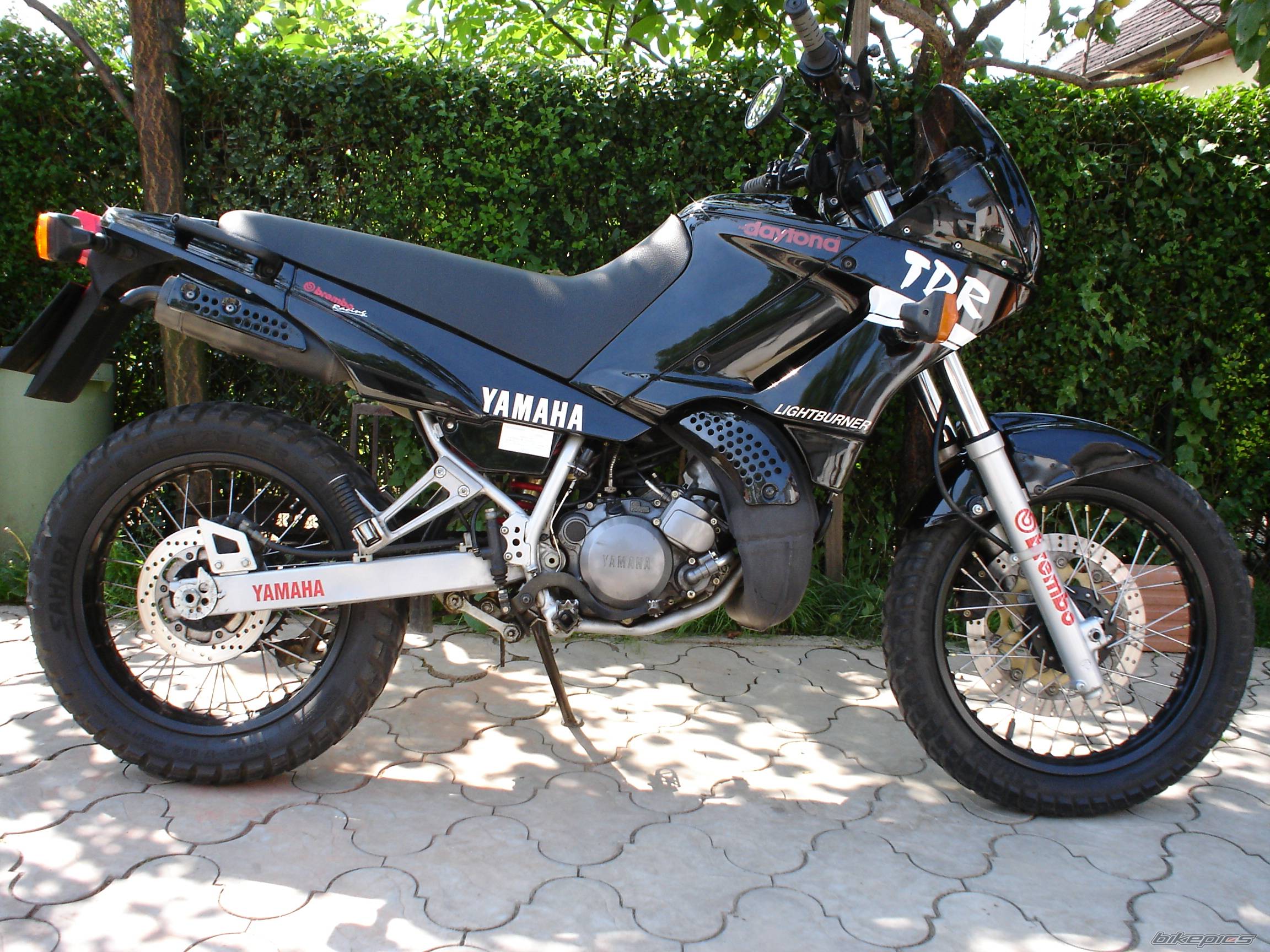 Bike Photo 380813