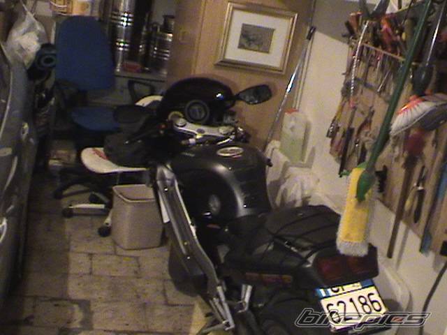 Photo 380875
