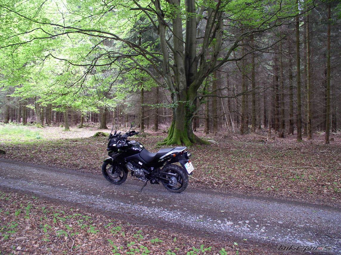 Bike Photo 380957