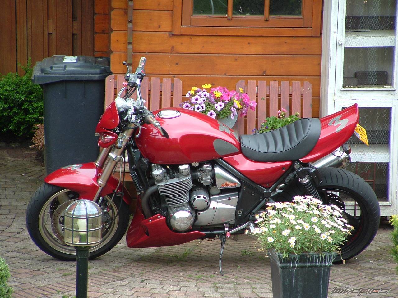 Bike Photo 381027