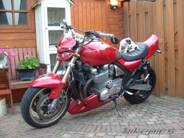 Bike Photo 381033