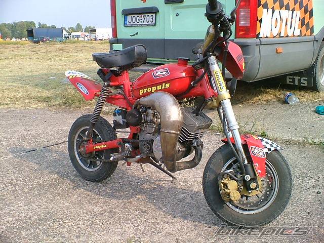 Photo 381199
