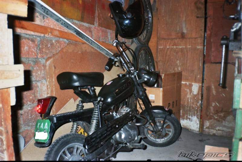 Bike Photo 381217