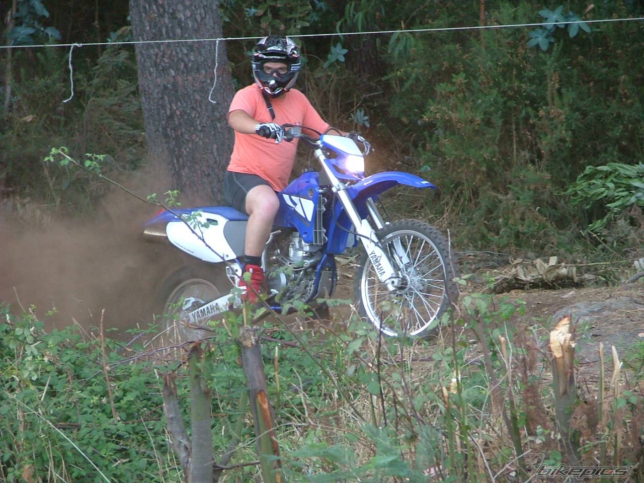 Bike Photo 381232