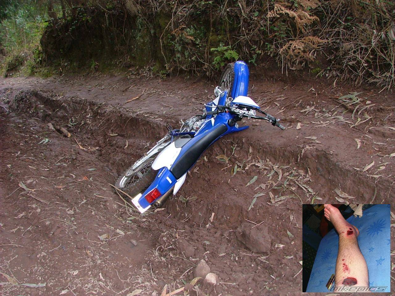 Bike Photo 381239