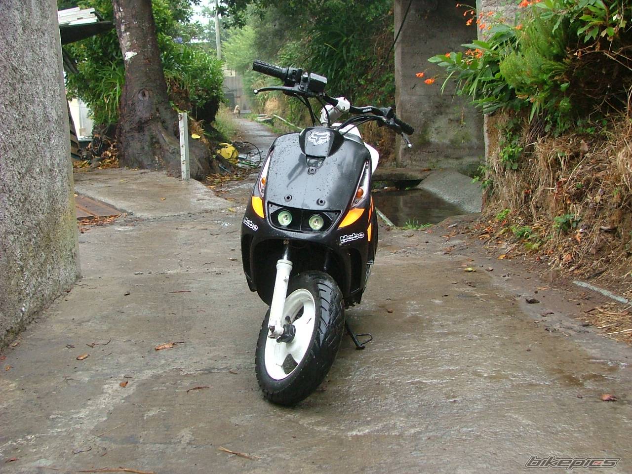 Bike Photo 381244
