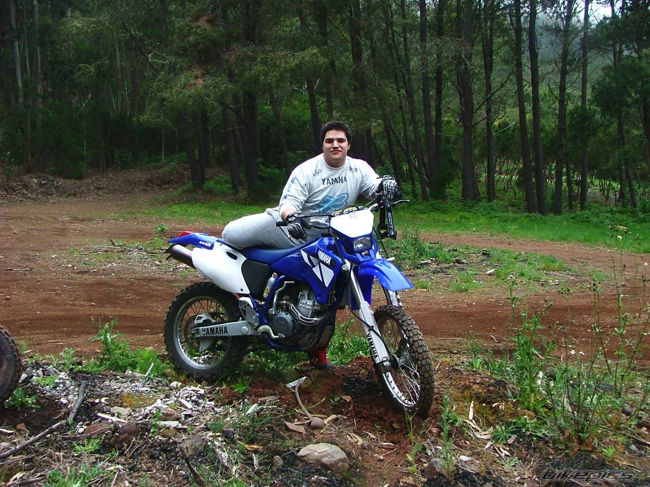 Bike Photo 381257