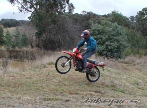 Bike Photo 381331