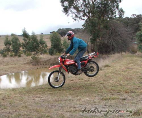 Bike Photo 381335